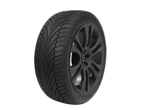 Riken Raptor ZR A/S best tire for Nissan Leaf